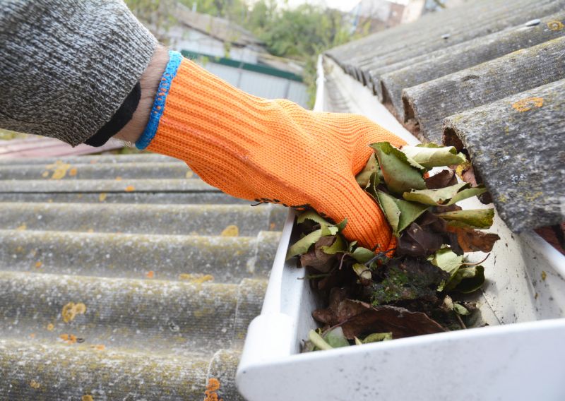 Clogged Gutter Clearing in Frederick, MD