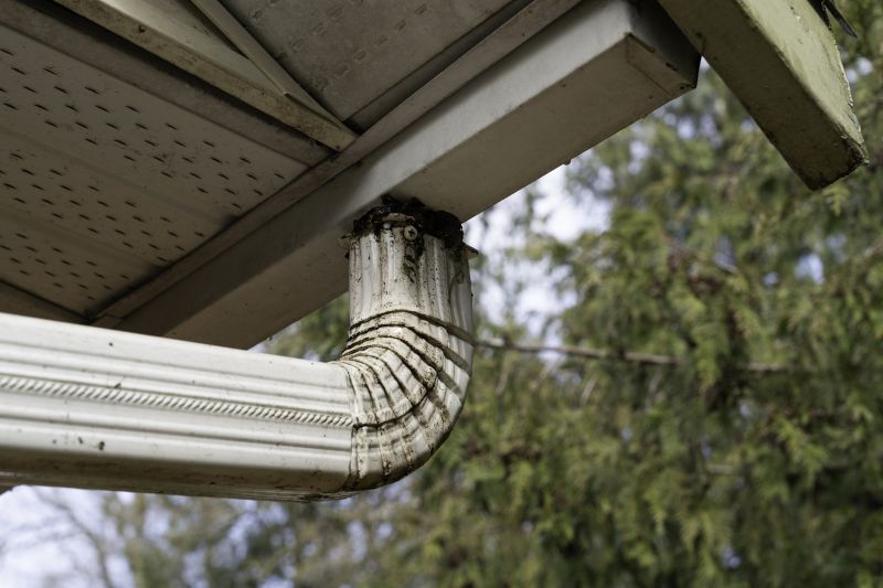 Downspout Blockage Removal in Annapolis, MD