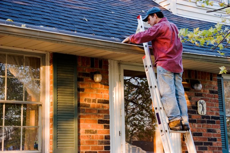 Gutter Maintenance in Boulder, CO