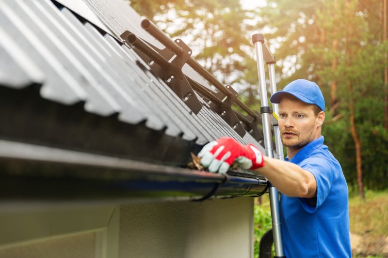 Gutter Cleaning in Longmont, CO